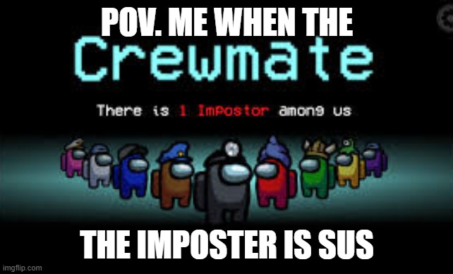 Me when the..... | POV. ME WHEN THE; THE IMPOSTER IS SUS | image tagged in sussy | made w/ Imgflip meme maker