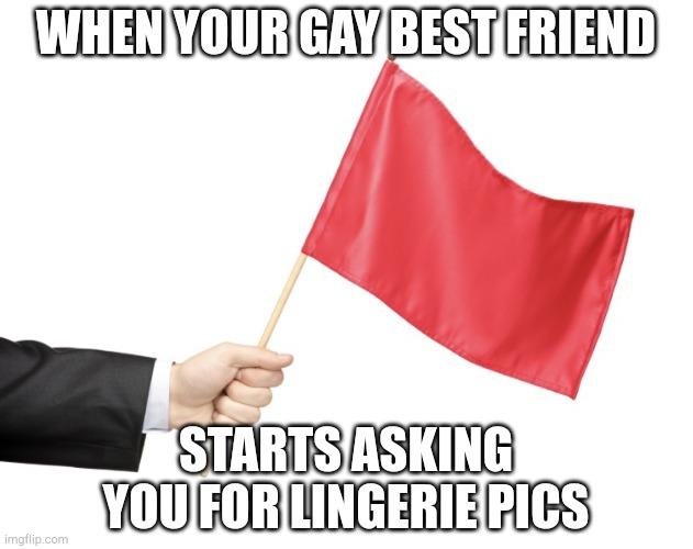 Red Flag | WHEN YOUR GAY BEST FRIEND; STARTS ASKING YOU FOR LINGERIE PICS | image tagged in red flag | made w/ Imgflip meme maker