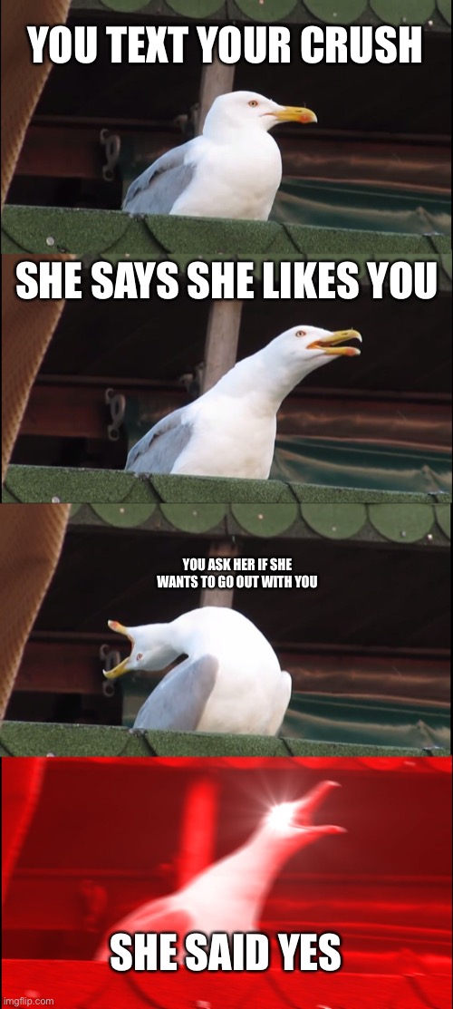 The good ending | YOU TEXT YOUR CRUSH; SHE SAYS SHE LIKES YOU; YOU ASK HER IF SHE WANTS TO GO OUT WITH YOU; SHE SAID YES | image tagged in memes,inhaling seagull | made w/ Imgflip meme maker