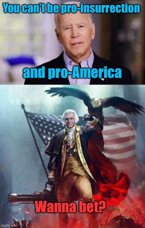  You can’t be pro-insurrection; and pro-America; Wanna bet? | image tagged in joe biden 2020,george washington eagle,insurrection | made w/ Imgflip meme maker