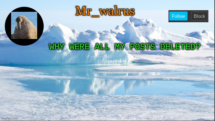 Mr_walrus | WHY WERE ALL MY POSTS DELETED? | image tagged in mr_walrus | made w/ Imgflip meme maker