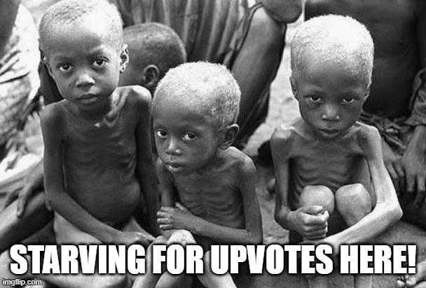 Hungry | STARVING FOR UPVOTES HERE! | image tagged in starving africans | made w/ Imgflip meme maker