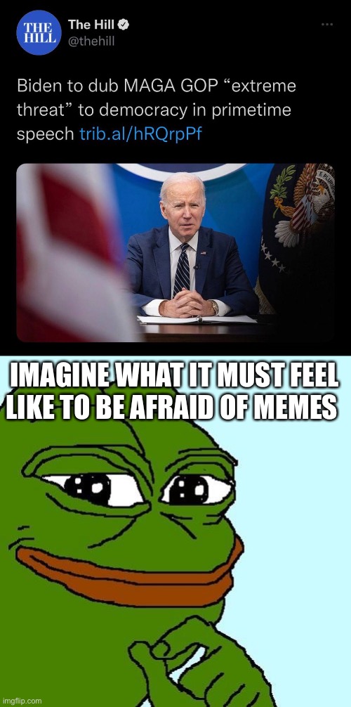 IMAGINE WHAT IT MUST FEEL LIKE TO BE AFRAID OF MEMES | image tagged in smug pepe | made w/ Imgflip meme maker