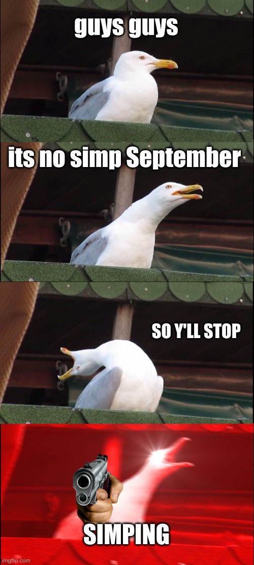 sorry if you see this late | guys guys; its no simp September; SO Y'LL STOP; SIMPING | image tagged in memes,inhaling seagull | made w/ Imgflip meme maker
