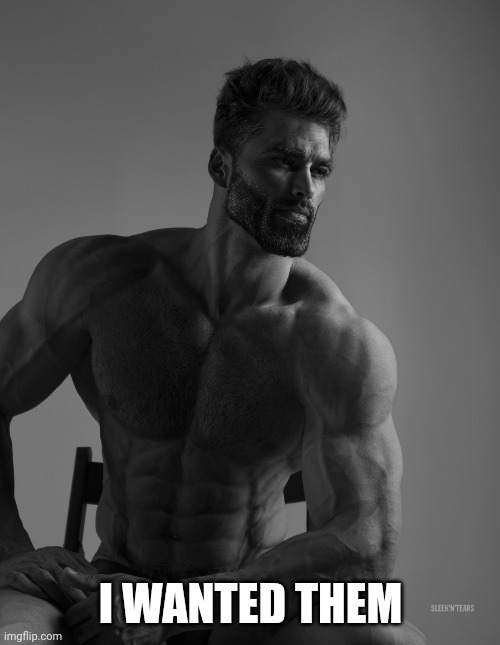 Giga Chad | I WANTED THEM | image tagged in giga chad | made w/ Imgflip meme maker