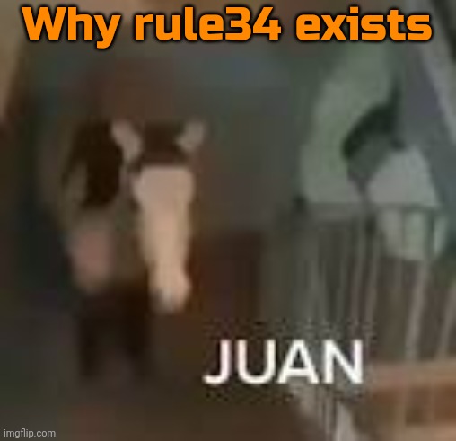 Juan on Staircase | Why rule34 exists | image tagged in juan on staircase | made w/ Imgflip meme maker
