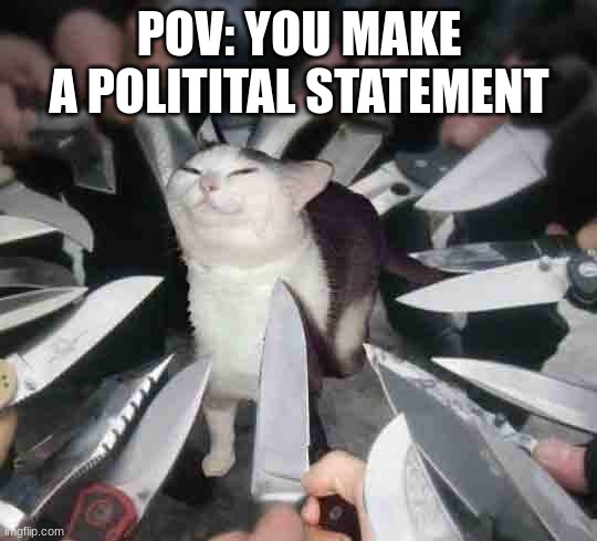 watch yo back! | POV: YOU MAKE A POLITITAL STATEMENT | image tagged in knife cat,memes,funny,politics,cat,knife | made w/ Imgflip meme maker