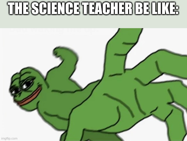 THE SCIENCE TEACHER BE LIKE: | image tagged in pepe punch | made w/ Imgflip meme maker