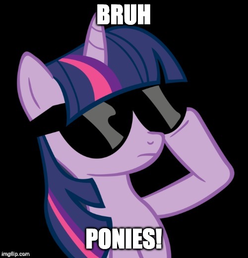 Twilight with shades | BRUH PONIES! | image tagged in twilight with shades | made w/ Imgflip meme maker