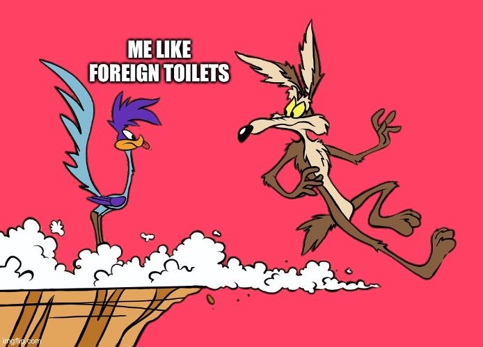 Digital ports | ME LIKE FOREIGN TOILETS | image tagged in willie ethelbert coyote's cognitive misalignment,meanwhile on imgflip | made w/ Imgflip meme maker