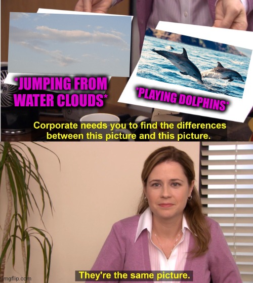 -Can you see this beauty? | *JUMPING FROM WATER CLOUDS*; *PLAYING DOLPHINS* | image tagged in memes,they're the same picture,miami dolphins,mushroom cloud,totally looks like,sea | made w/ Imgflip meme maker