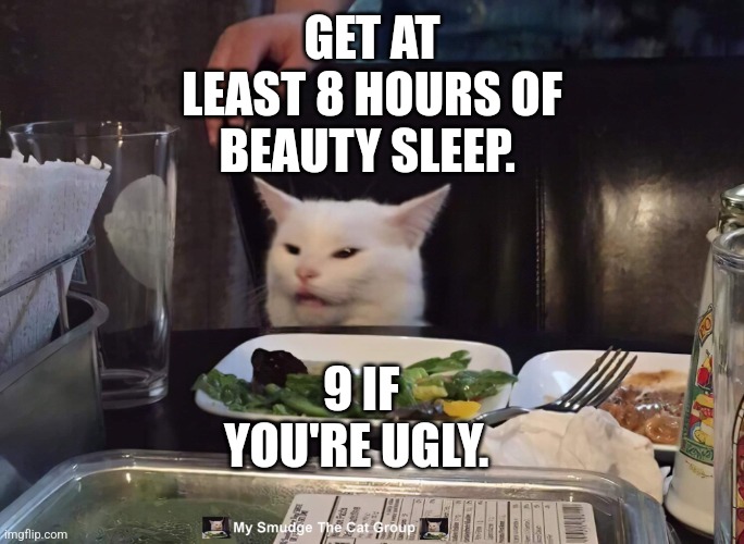 GET AT LEAST 8 HOURS OF BEAUTY SLEEP. 9 IF YOU'RE UGLY. | image tagged in smudge the cat | made w/ Imgflip meme maker