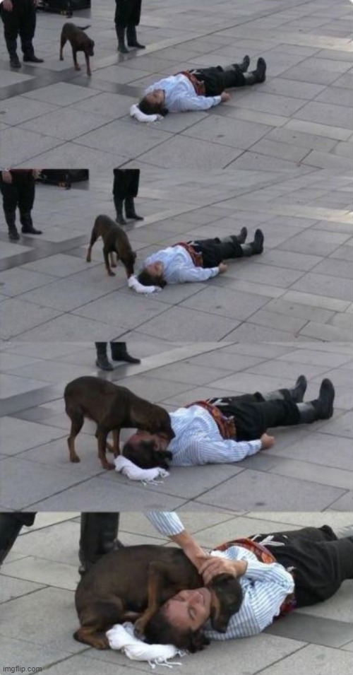 dog making a sleepy man smiles | image tagged in dogs | made w/ Imgflip meme maker