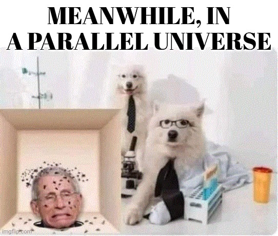 Meanwhile, in a parallel universe | MEANWHILE, IN A PARALLEL UNIVERSE | image tagged in doctor evil,fauci,troll,torture,puppies | made w/ Imgflip meme maker