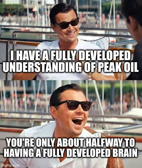 Leonardo Dicaprio Wolf Of Wall Street Meme | I HAVE A FULLY DEVELOPED UNDERSTANDING OF PEAK OIL YOU'RE ONLY ABOUT HALFWAY TO
HAVING A FULLY DEVELOPED BRAIN | image tagged in memes,leonardo dicaprio wolf of wall street | made w/ Imgflip meme maker