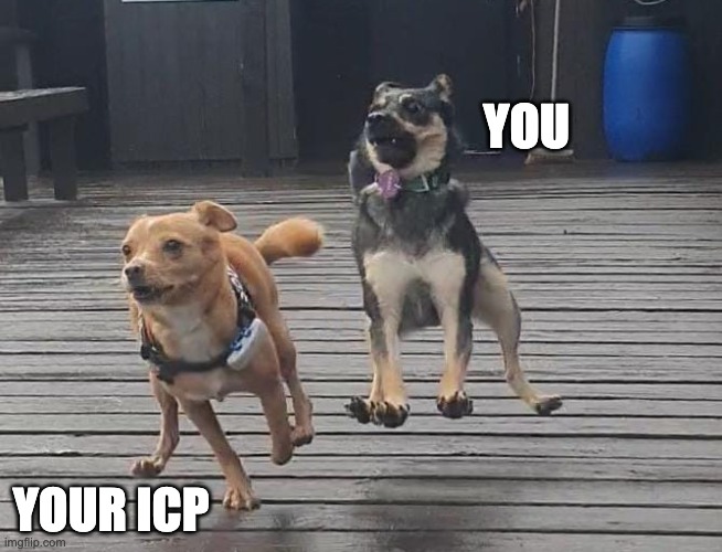 chasing the doggy | YOU; YOUR ICP | image tagged in chasing the doggy | made w/ Imgflip meme maker