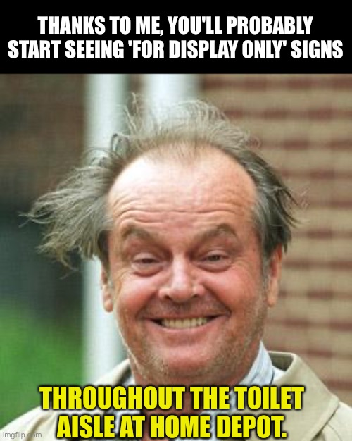 Home Depot | THANKS TO ME, YOU'LL PROBABLY START SEEING 'FOR DISPLAY ONLY' SIGNS; THROUGHOUT THE TOILET AISLE AT HOME DEPOT. | image tagged in jack nicholson crazy hair | made w/ Imgflip meme maker