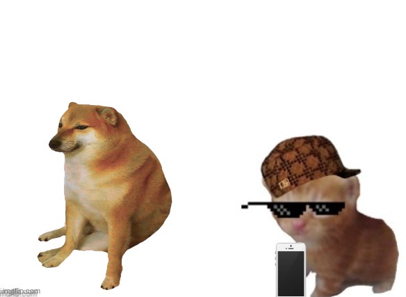 i added dog | image tagged in doge,cats,glasses | made w/ Imgflip meme maker