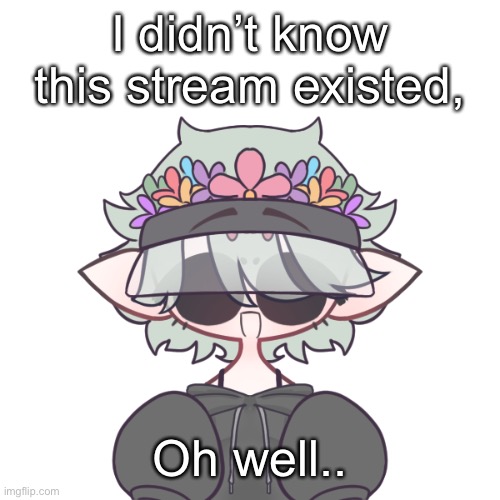 Micheal | I didn’t know this stream existed, Oh well.. | made w/ Imgflip meme maker