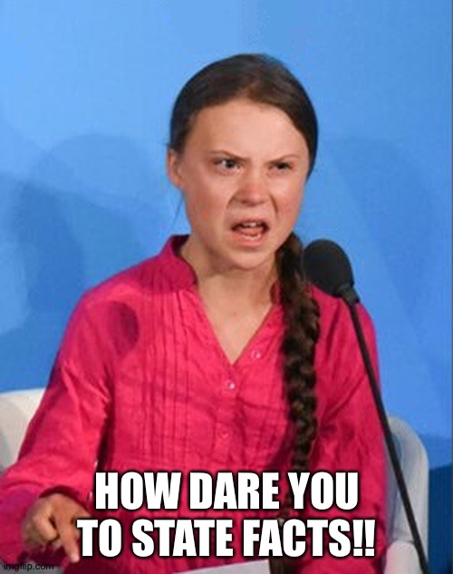 Greta Thunberg how dare you | HOW DARE YOU TO STATE FACTS!! | image tagged in greta thunberg how dare you | made w/ Imgflip meme maker