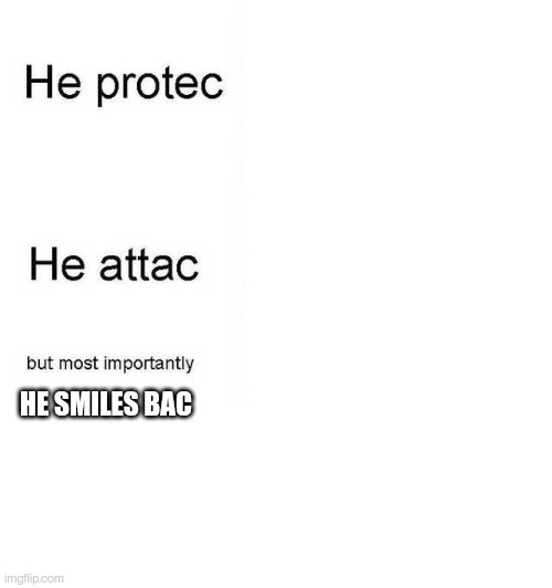 He protec he attac but most importantly | HE SMILES BAC | image tagged in he protec he attac but most importantly | made w/ Imgflip meme maker