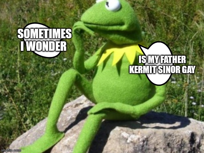Is Kermits father Kermit senior | SOMETIMES I WONDER; IS MY FATHER KERMIT SINOR GAY | image tagged in some times i wonder | made w/ Imgflip meme maker