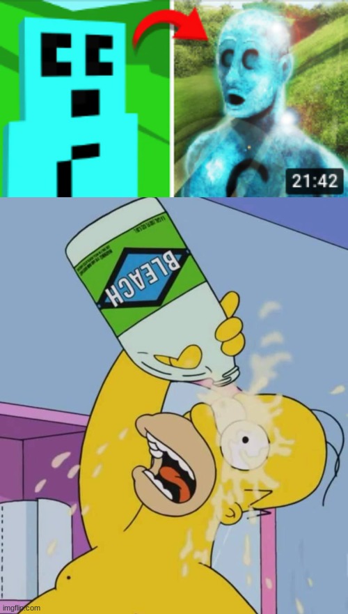 Craftee.... WHY | image tagged in homer with bleach | made w/ Imgflip meme maker