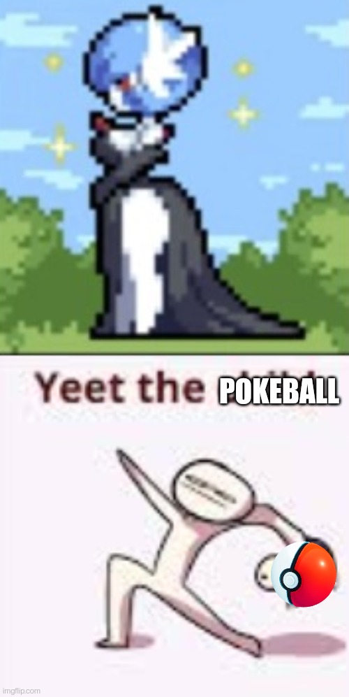 POKEBALL | image tagged in single yeet the child panel | made w/ Imgflip meme maker