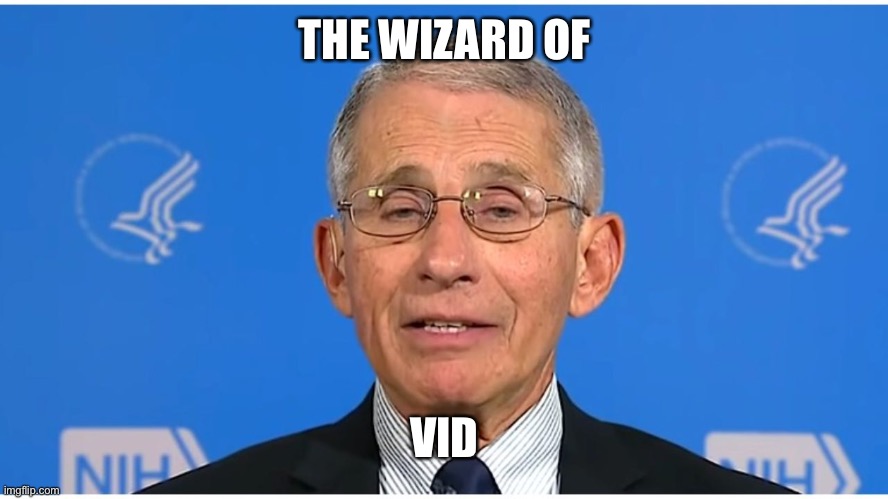 Dr Fauci | THE WIZARD OF; VID | image tagged in dr fauci | made w/ Imgflip meme maker