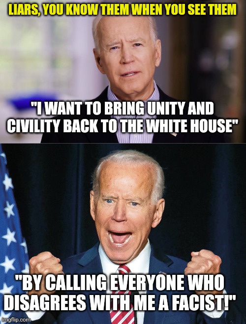 Unity, its a very odd word for Democrats. Or the dementia drugs are wearing off again. | LIARS, YOU KNOW THEM WHEN YOU SEE THEM; "I WANT TO BRING UNITY AND CIVILITY BACK TO THE WHITE HOUSE"; "BY CALLING EVERYONE WHO DISAGREES WITH ME A FACIST!" | image tagged in crazy joe biden,liars,election,hypocrisy,liberals,dementia | made w/ Imgflip meme maker