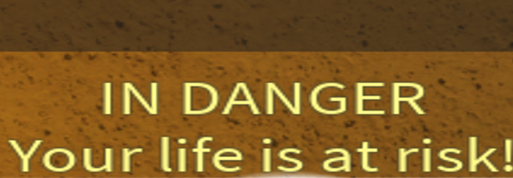 High Quality In danger! Your life is at risk Blank Meme Template