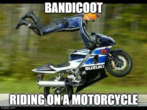 bandicoot riding on a motorcycle | BANDICOOT; RIDING ON A MOTORCYCLE | image tagged in motorcycle trick,memes,crash bandicoot,microsoft,activision,cool | made w/ Imgflip meme maker