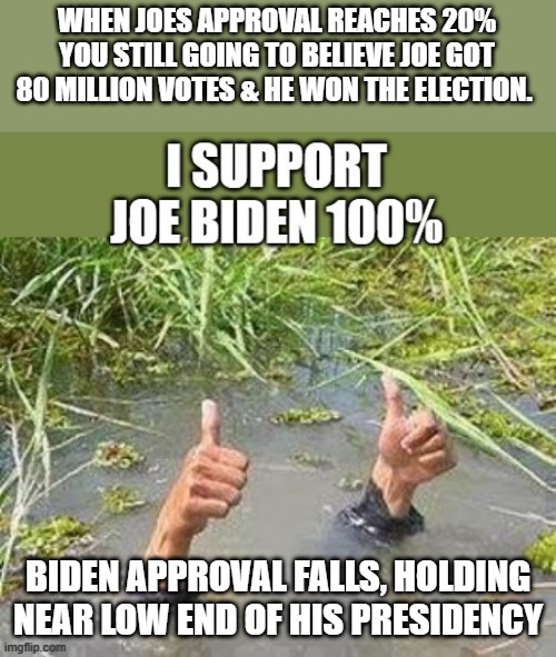 BIDEN is not a legal Pres. everyone knows it | WHEN JOES APPROVAL REACHES 20% YOU STILL GOING TO BELIEVE JOE GOT 80 MILLION VOTES & HE WON THE ELECTION. BIDEN APPROVAL FALLS, HOLDING NEAR LOW END OF HIS PRESIDENCY | image tagged in democrat | made w/ Imgflip meme maker