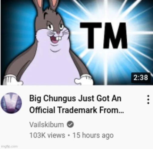 BIG CHUNGUS IS TRADEMARKED NOW AND THE POSSIBILITIES ARE ENDLESS | image tagged in big chungus,omg | made w/ Imgflip meme maker