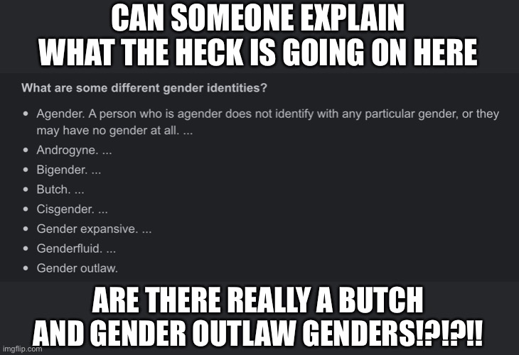 cue the confuzzledness | CAN SOMEONE EXPLAIN
WHAT THE HECK IS GOING ON HERE; ARE THERE REALLY A BUTCH AND GENDER OUTLAW GENDERS!?!?!! | image tagged in i have no idea what i am doing,gender,idk | made w/ Imgflip meme maker