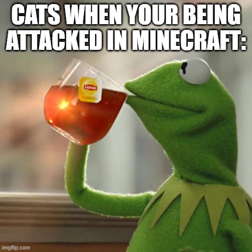 But That's None Of My Business | CATS WHEN YOUR BEING ATTACKED IN MINECRAFT: | image tagged in memes,but that's none of my business,kermit the frog | made w/ Imgflip meme maker