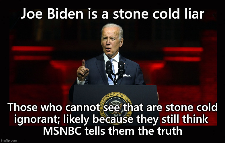 Joe Biden is a stone cold liar | Joe Biden is a stone cold liar; Those who cannot see that are stone cold
ignorant; likely because they still think 
MSNBC tells them the truth | image tagged in joe biden,battle for the soul of america | made w/ Imgflip meme maker