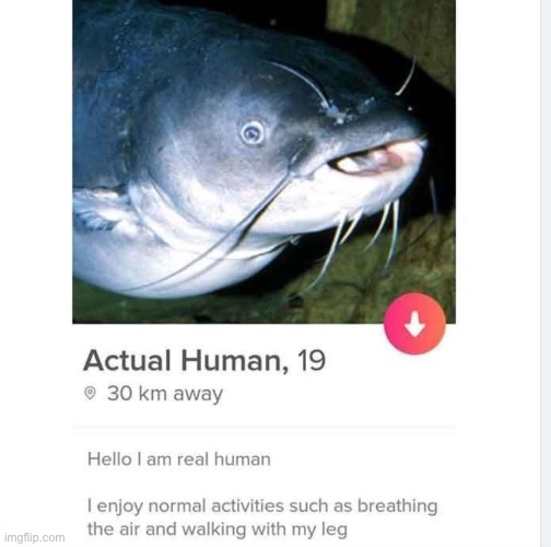 Real | image tagged in online dating,lol so funny | made w/ Imgflip meme maker