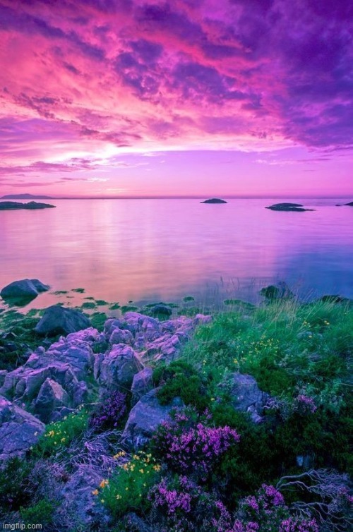 image tagged in awesome | made w/ Imgflip meme maker