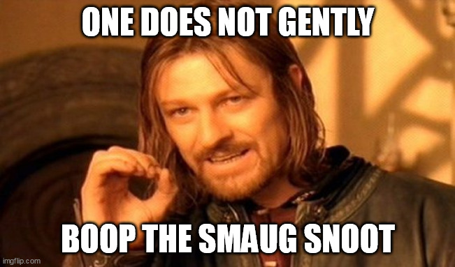 One Does Not Simply | ONE DOES NOT GENTLY; BOOP THE SMAUG SNOOT | image tagged in memes,one does not simply | made w/ Imgflip meme maker