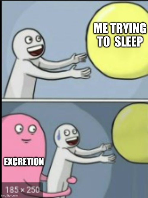 sometimes that poo do be hitting | ME TRYING TO  SLEEP; EXCRETION | image tagged in science,pooping | made w/ Imgflip meme maker