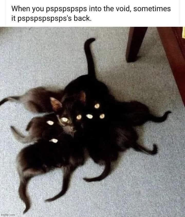 image tagged in repost | made w/ Imgflip meme maker