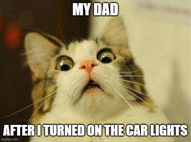 My dad | MY DAD; AFTER I TURNED ON THE CAR LIGHTS | image tagged in memes,scared cat | made w/ Imgflip meme maker