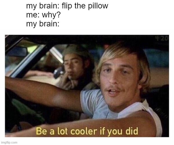 its too hot | my brain: flip the pillow
me: why?
my brain: | image tagged in be a lot cooler if you did | made w/ Imgflip meme maker