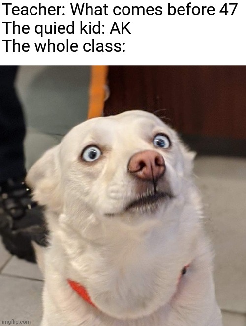 Excuse me what | Teacher: What comes before 47
The quied kid: AK
The whole class: | image tagged in excuse me what,ak47,funny,memes,dark humor | made w/ Imgflip meme maker