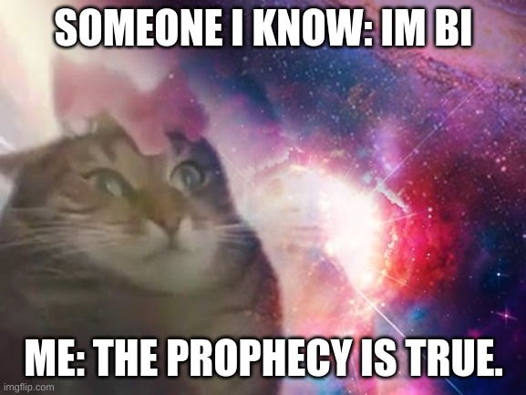 welp. | SOMEONE I KNOW: IM BI; ME: THE PROPHECY IS TRUE. | image tagged in the prophecy is true cat | made w/ Imgflip meme maker