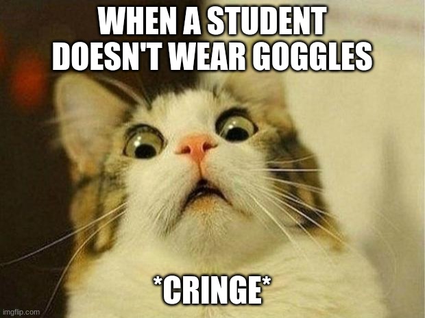 Scared Cat Meme | WHEN A STUDENT DOESN'T WEAR GOGGLES; *CRINGE* | image tagged in memes,scared cat | made w/ Imgflip meme maker