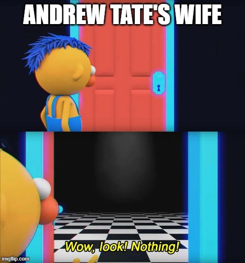 andrew tate be like | ANDREW TATE'S WIFE | image tagged in wow look nothing | made w/ Imgflip meme maker