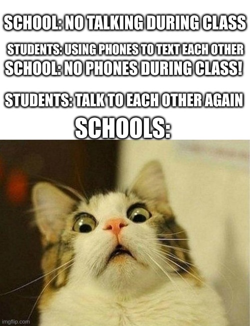Scared Cat Meme | SCHOOL: NO TALKING DURING CLASS; STUDENTS: USING PHONES TO TEXT EACH OTHER; SCHOOL: NO PHONES DURING CLASS! STUDENTS: TALK TO EACH OTHER AGAIN; SCHOOLS: | image tagged in memes,scared cat,school,school meme | made w/ Imgflip meme maker