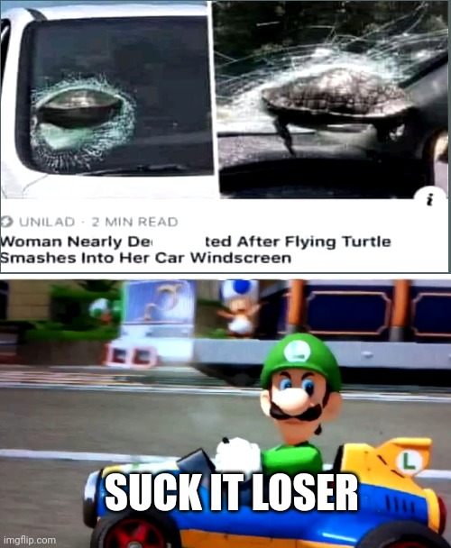 SUCK IT LOSER | image tagged in mario kart,funny,funny memes,memes,gaming | made w/ Imgflip meme maker